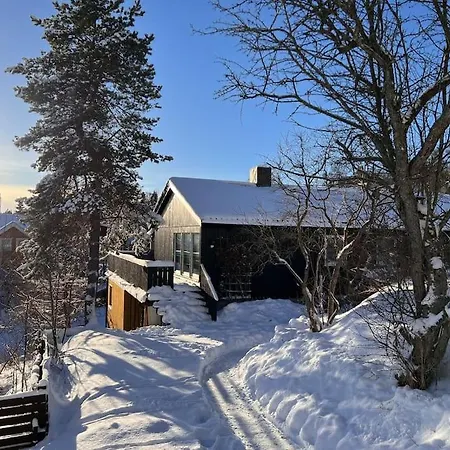 Villa Large House With Beds For 12-14 *